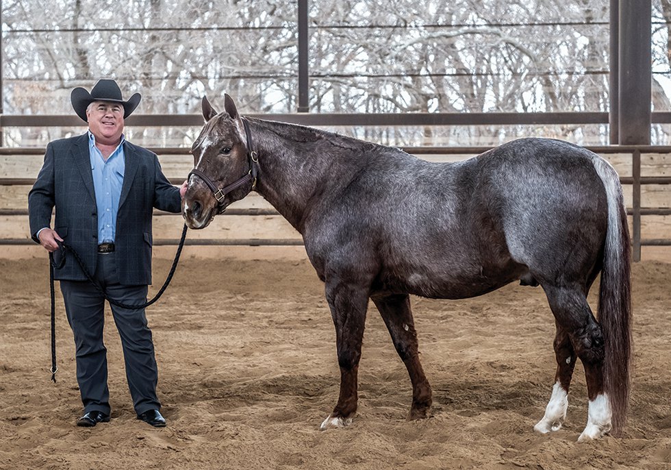 The MillionDollar Horse, Metallic Cat Fort Worth Magazine